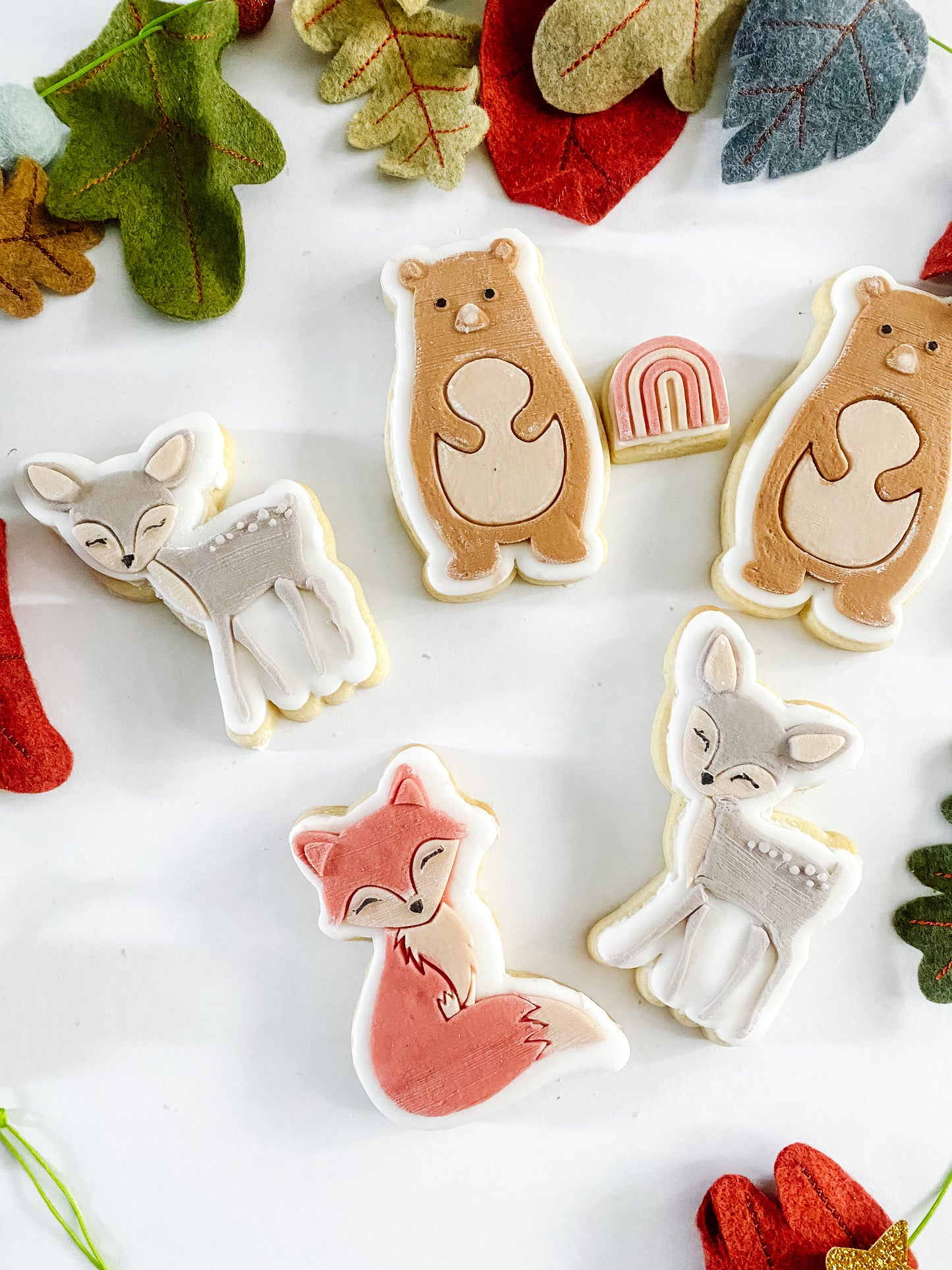 Childrens Party Bag Favour Cookies